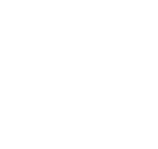 Protección Digital